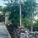 招待所 Castle Steps